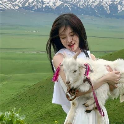 猪猪侠之积木世界的童话